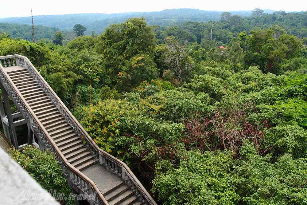 پارک ملی پنوم کولن در سیم ریپ | علاءالدین تراول