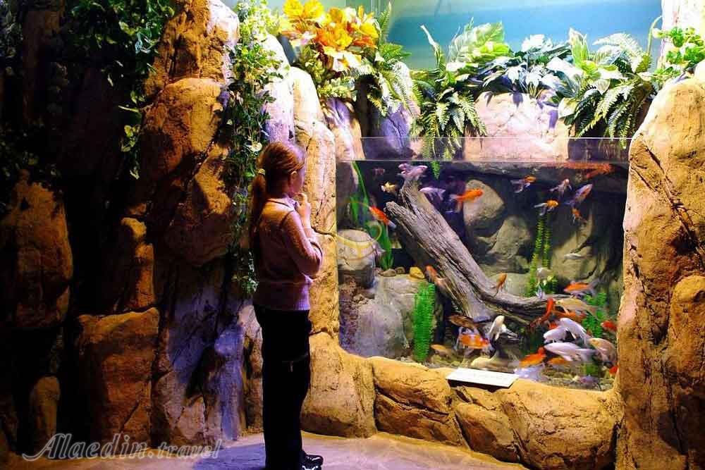 پارک اقیانوسی دیسکاوری ورلد سوچی روسیه | علاءالدین تراول