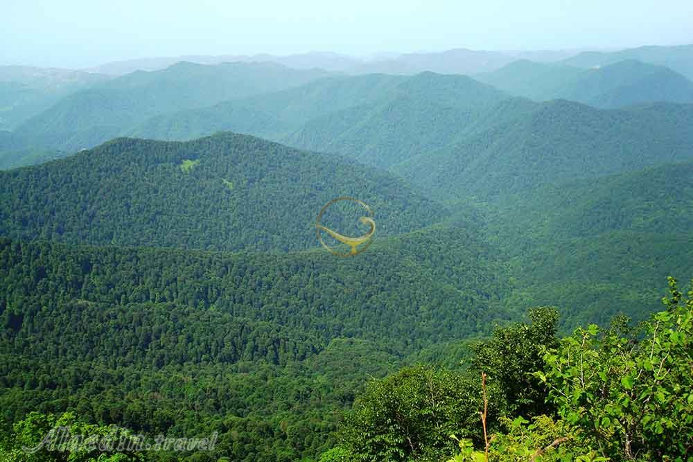 پارک ملی سوچی روسیه | علاءالدین تراول