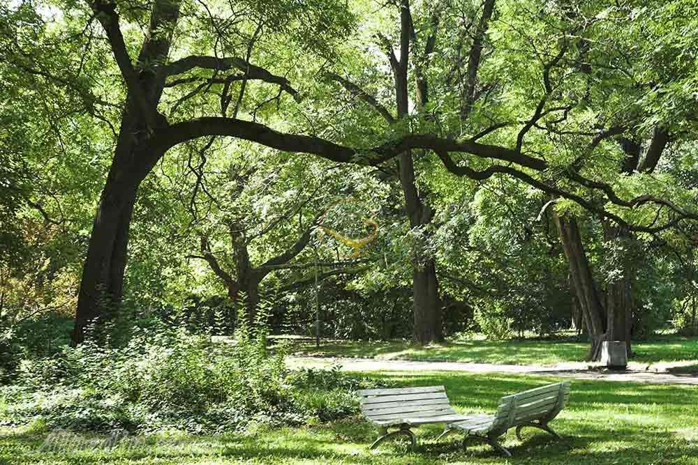 پارک بوریسوا گاردنیا صوفیه - بلغارستان | علاءالدین تراول