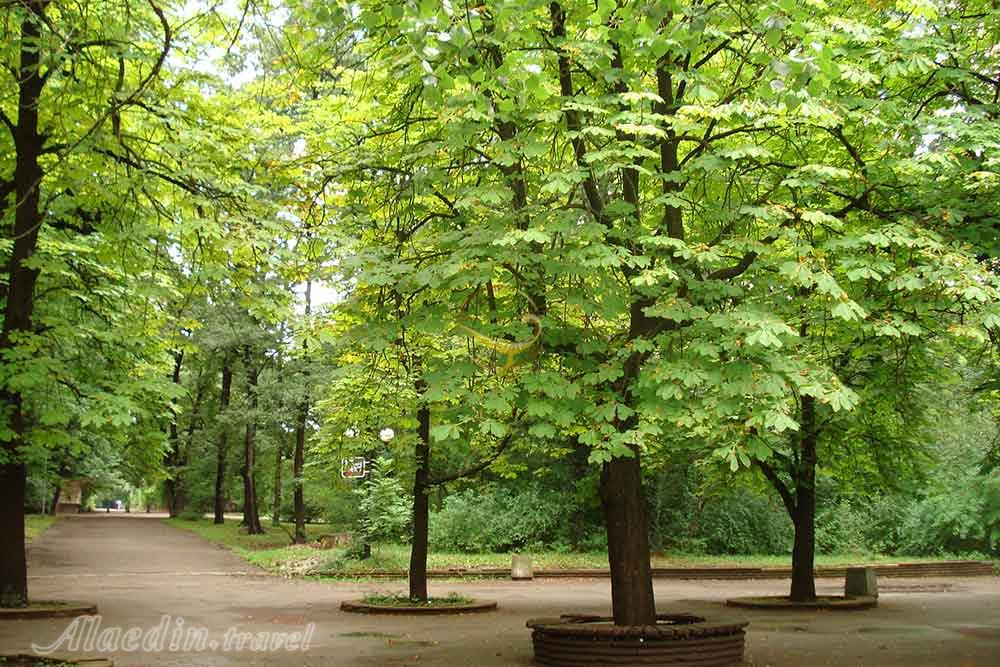 پارک بوریسوا گاردنیا صوفیه - بلغارستان | علاءالدین تراول