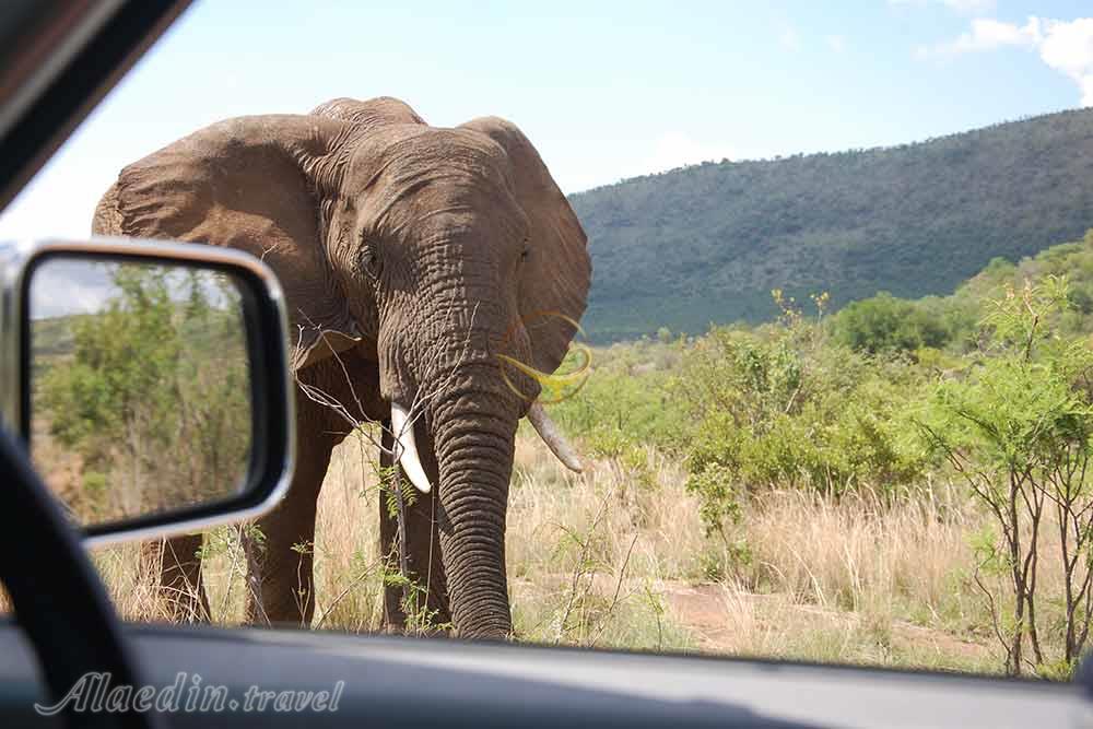 پارک ملی پیلانسبرگ سان سیتی | علاءالدین تراول