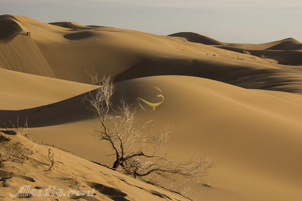 کویر حلوان طبس | علاءالدین تراول