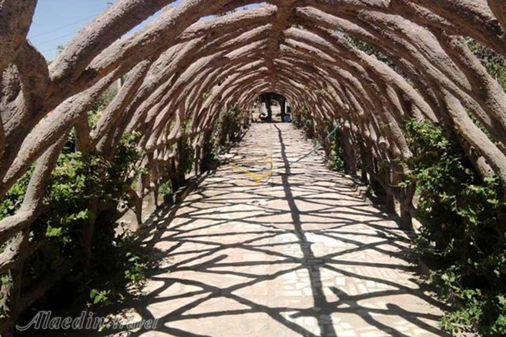 پارک جنگلی باغمیشه تبریز | علاءالدین تراول