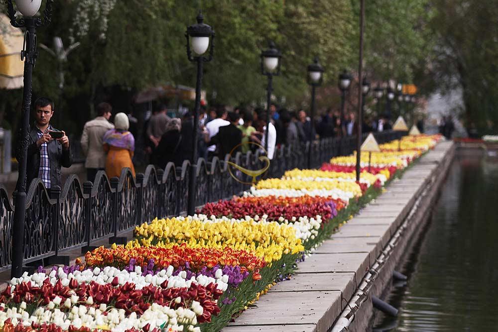 فضای سبز پارک ائل گلی تبریز | علاءالدین تراول