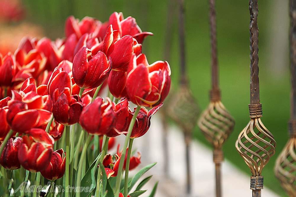 پارک مینیاتور تبریز | علاءالدین تراول