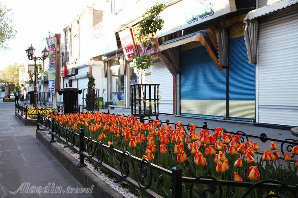 خیابان تربیت تبریز | علاءالدین تراول