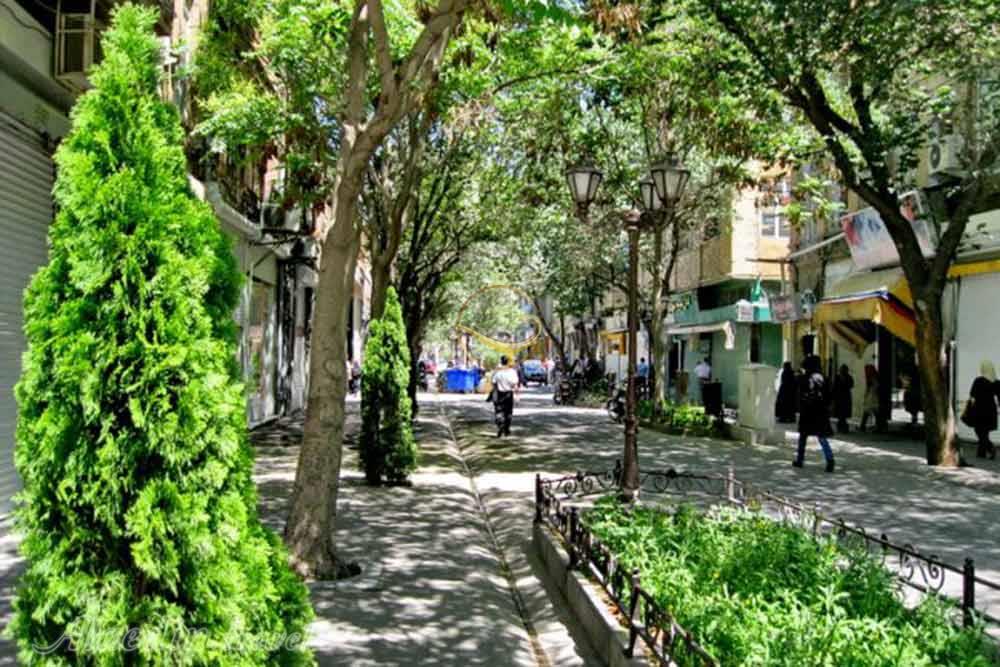 خیابان تربیت تبریز | علاءالدین تراول