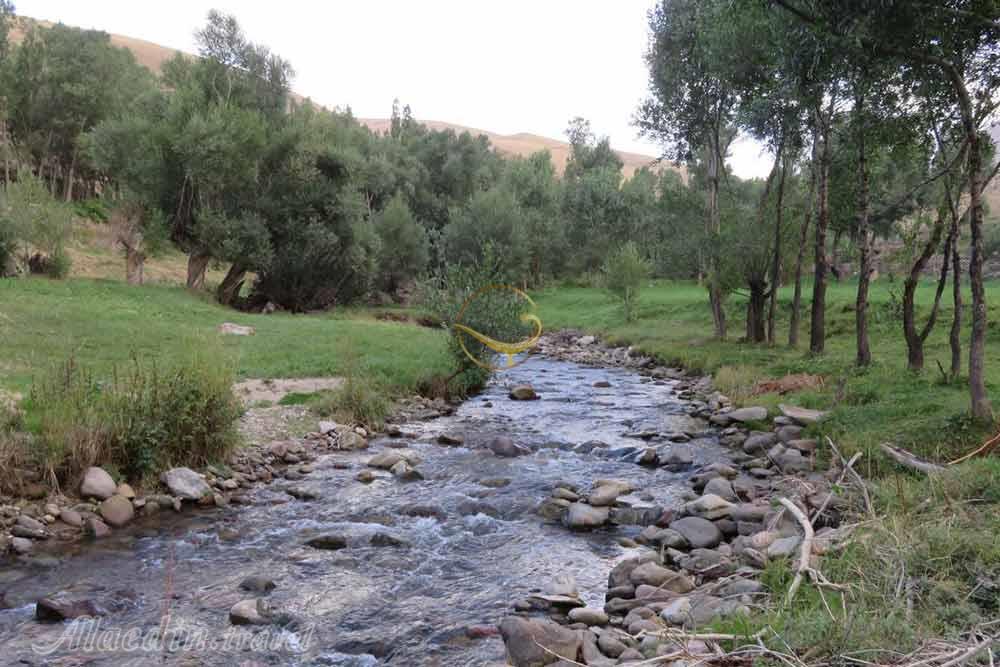 دره لیقوان تبریز | علاءالدین تراول