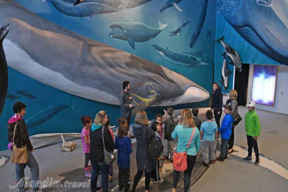 مرکز حیات وحش پستانداران دریایی در تادوساک کانادا