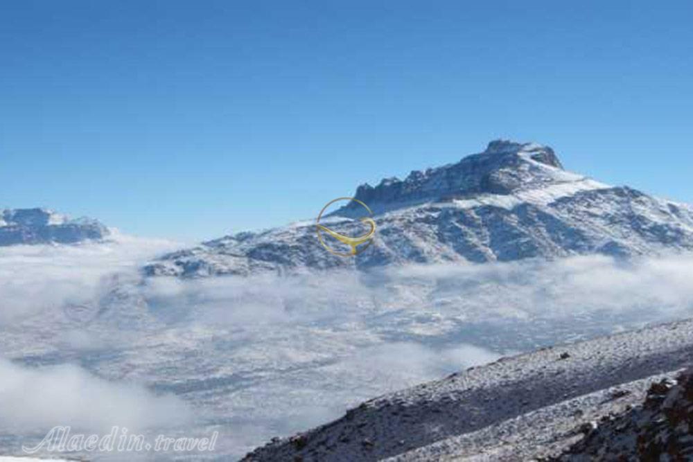 شيركوه تفت | علاءالدین تراول