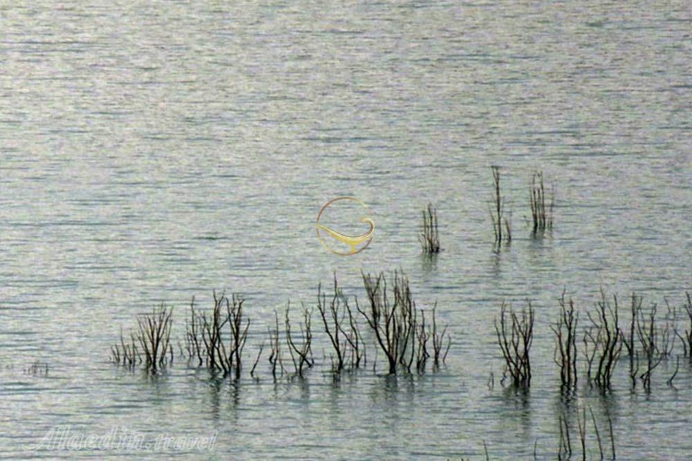 دریاچه ی سد طالقان | علاءالدین تراول