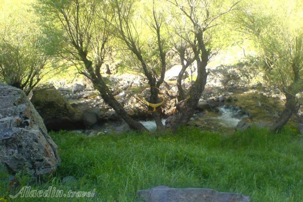 آبشار دگاهی در طارم | علاءالدین تراول