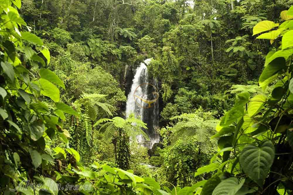 پارک ميراث ملی بوما در جزیره تاویونی - فیجی | علاءالدین تراول