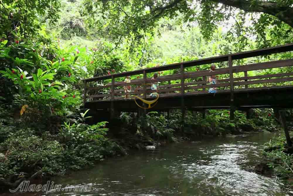 پارک ميراث ملی بوما در جزیره تاویونی - فیجی | علاءالدین تراول