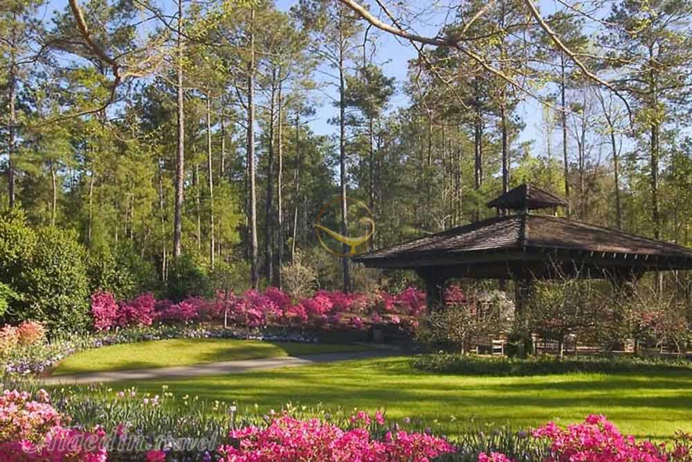 باغ گیاهشناسی ملی گرجستان در تفلیس | علاءالدین تراول