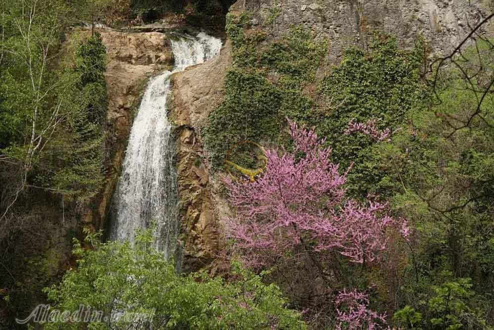 باغ گیاهشناسی ملی گرجستان در تفلیس | علاءالدین تراول