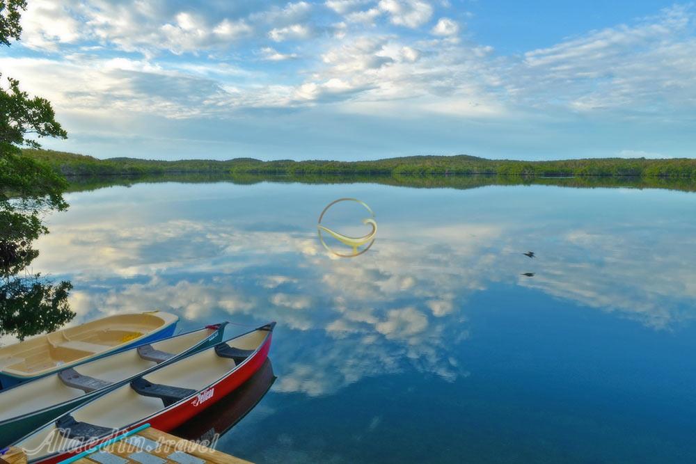 دریاچه لاک پشت در تفلیس - گرجستان | علاءالدین تراول