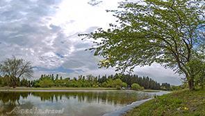 باغ گیاه شناسی تهران