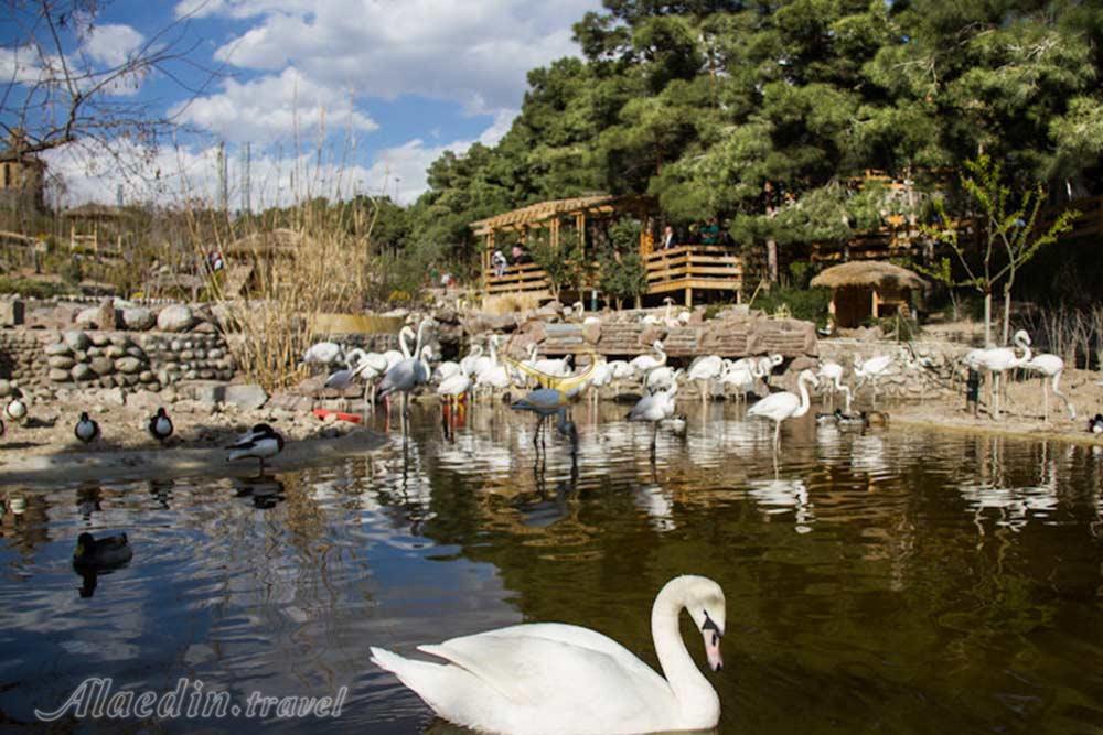 باغ پرندگان تهران | علاءالدین تراول