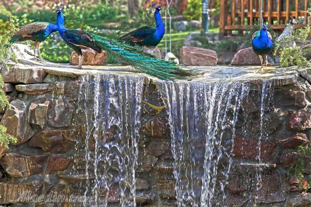 باغ پرندگان تهران | علاءالدین تراول