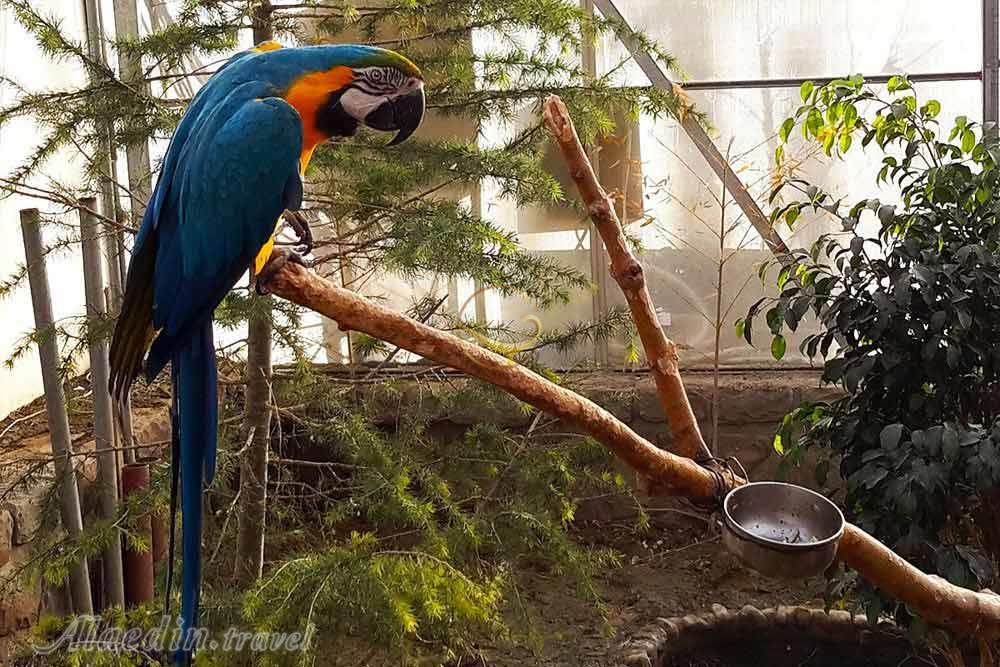 باغ پرندگان تهران | علاءالدین تراول