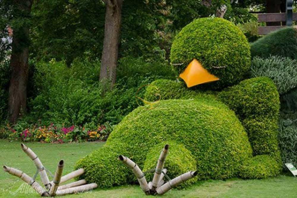 باغ گیاه‌شناسی تهران | علاءالدین تراول