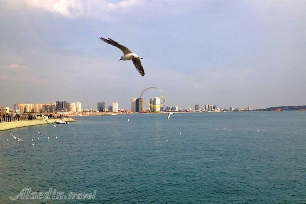 دریاچه چیتگر تهران | علاءالدین تراول