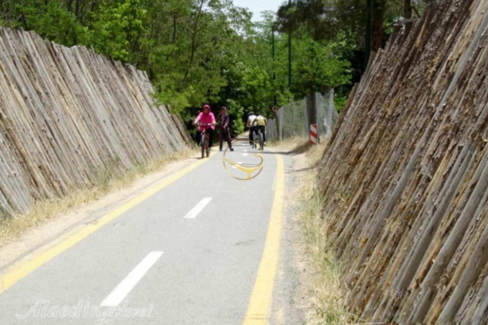 پارک جنگلی چیتگر تهران | علاءالدین تراول