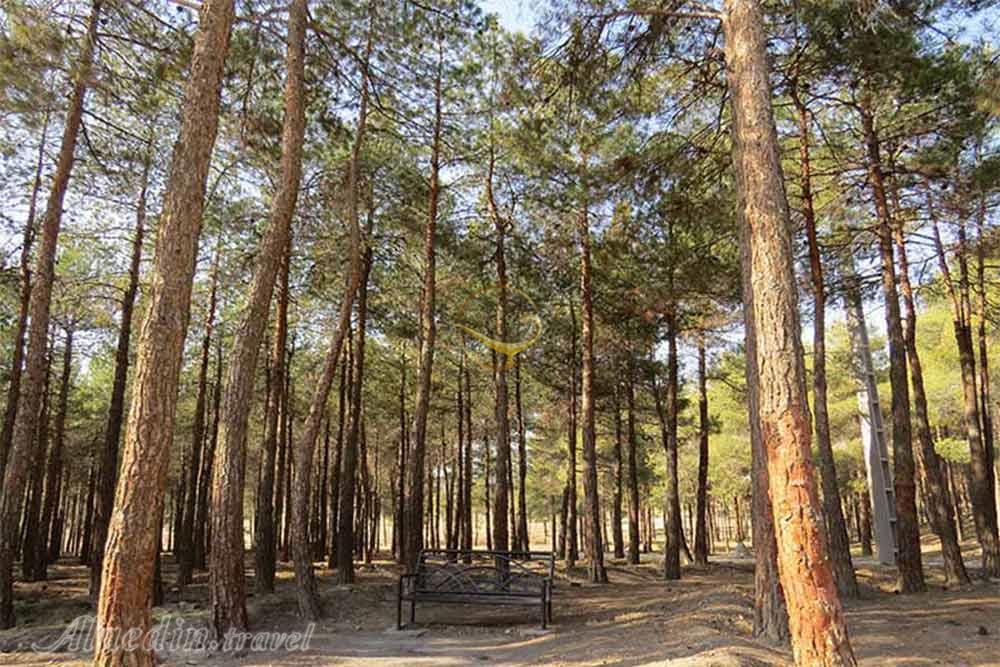 پارک جنگلی چیتگر تهران | علاءالدین تراول