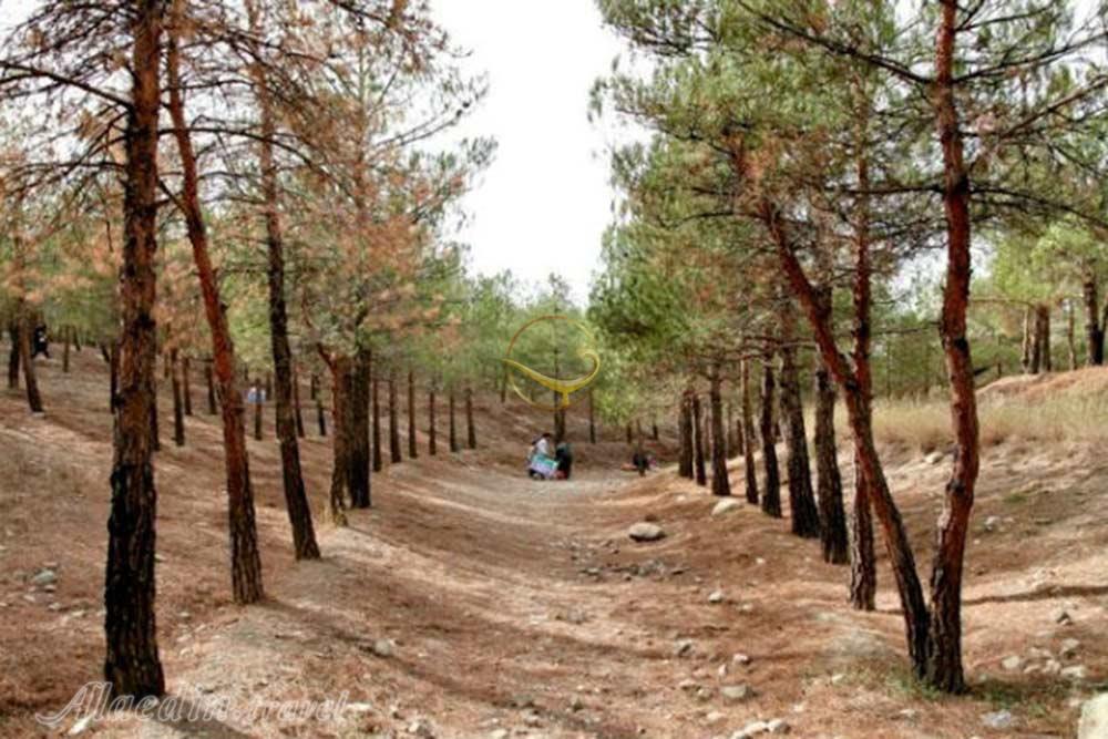 پارک جنگلی چیتگر تهران | علاءالدین تراول