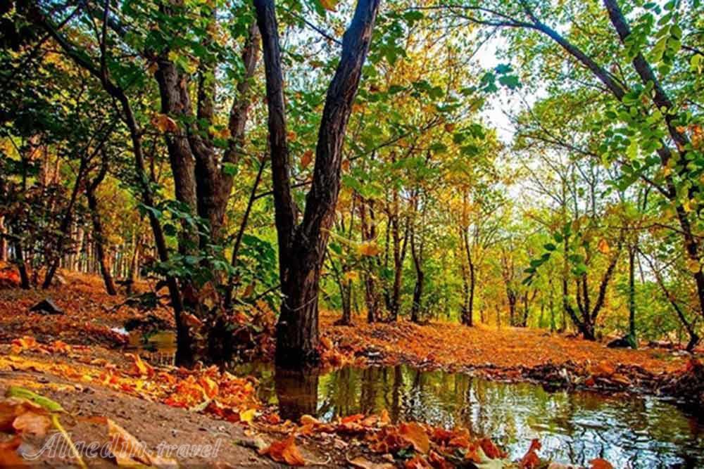 پارک جنگلی چیتگر تهران | علاءالدین تراول