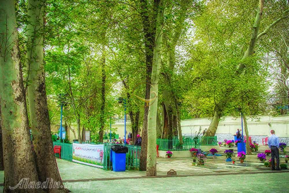 امامزاده عینعلی و زینعلی تهران | علاءالدین تراول