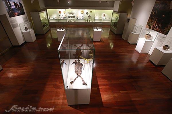 نمایشگاه هلند موزه ملی ایران