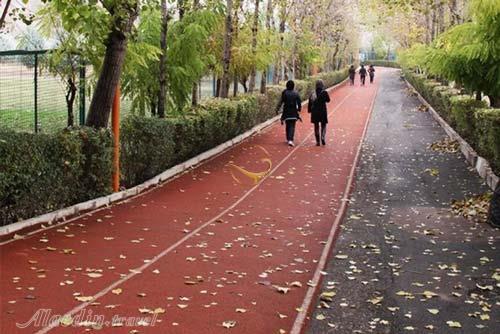 جاده تندرستی ایران مال تهران