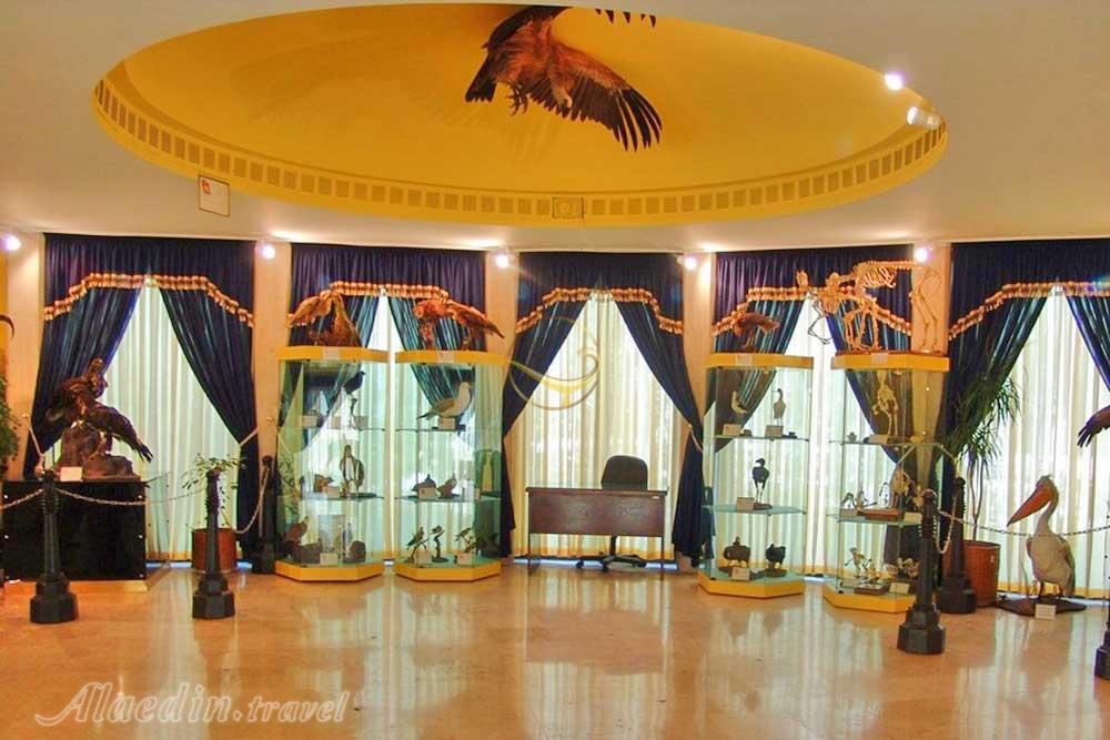 موزه طبیعت و حیات وحش ایران دارآباد در تهران | علاءالدین ترا