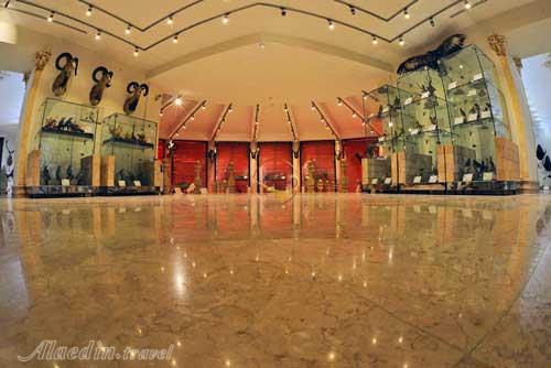 موزه طبیعت و حیات وحش ایران دارآباد در تهران