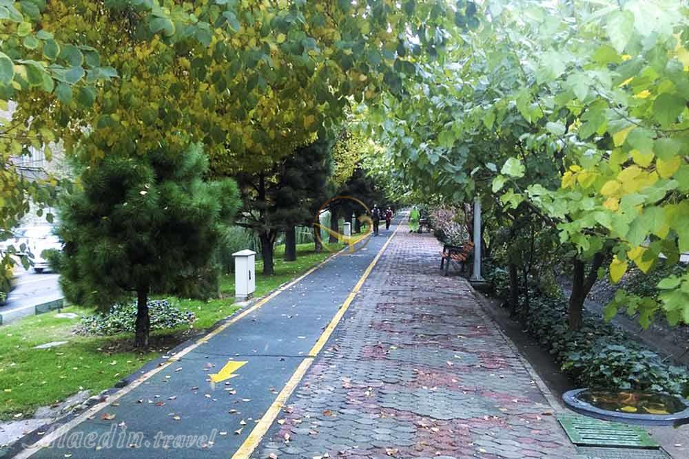 پارک لاله تهران | علاءالدین تراول