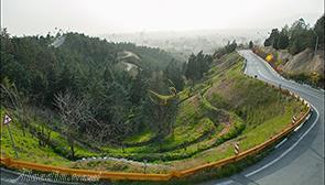 پارک جنگلی لویزان تهران