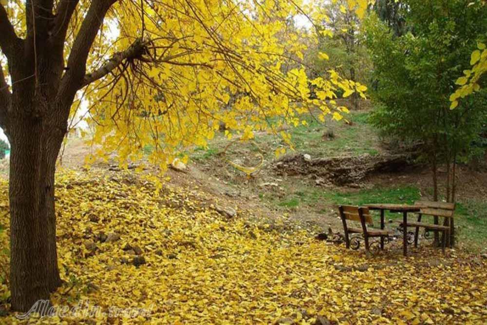 پارک جنگلی لویزان تهران | علاءالدین تراول