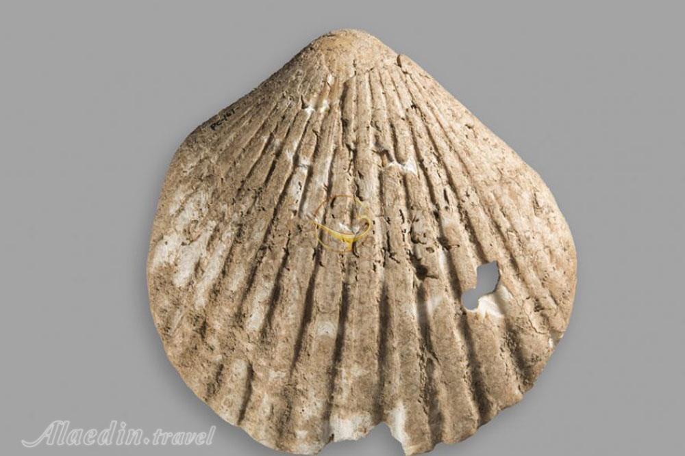 موزه ملی ایران در تهران | علاءالدین تراول