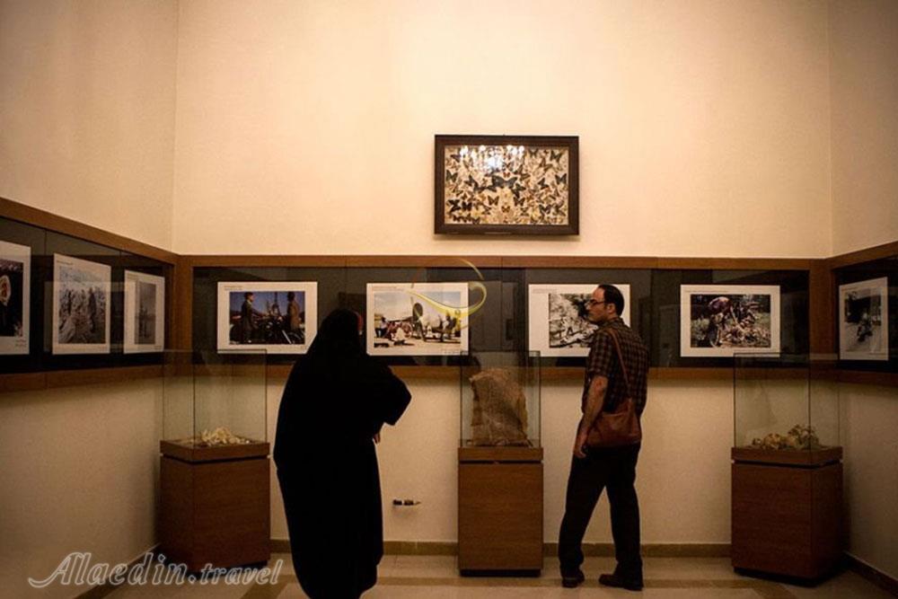 موزه برادران امیدوار در کاخ سعدآباد تهران | علاءالدین تراول