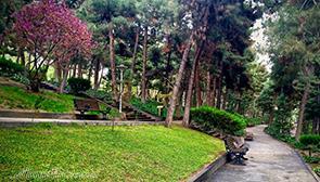 پارک ساعی تهران