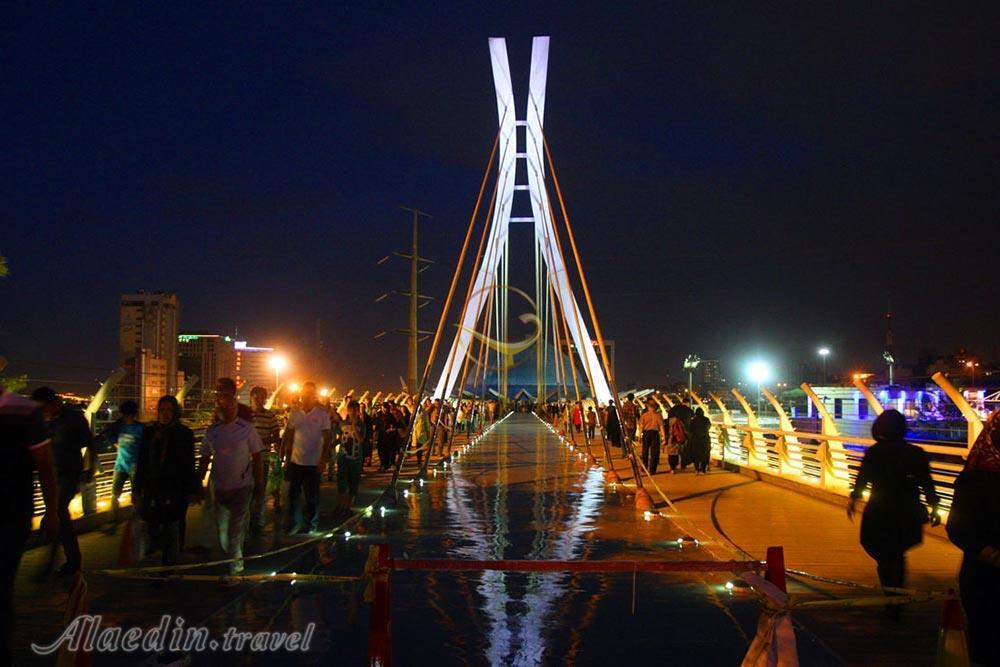 پل طبیعت تهران | علاءالدین تراول