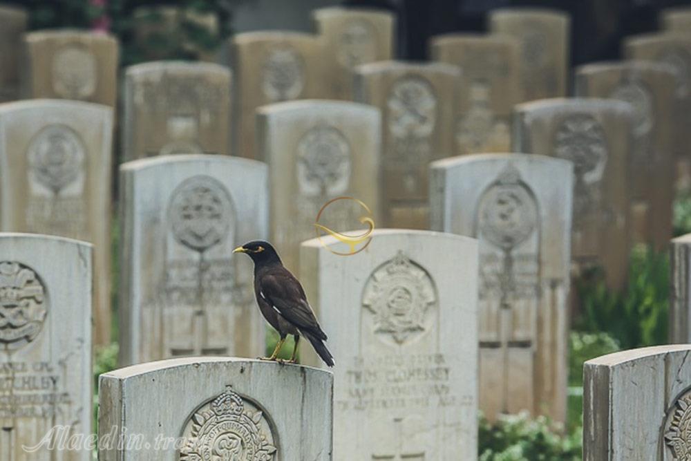 گورستان متفقین تهران
