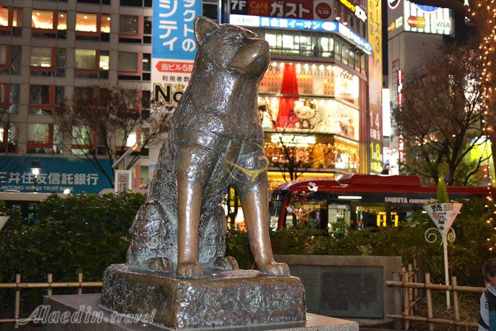 مجسمه‌ی هاچیکو توکیو - ژاپن | علاءالدین تراول