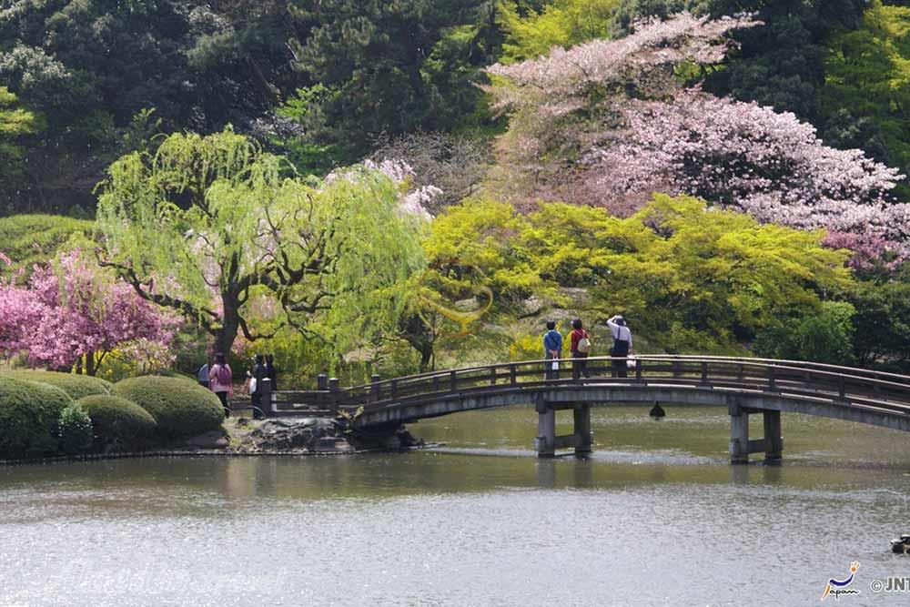 پارک ملی شینجوکو گیوئن توکیو - ژاپن | علاءالدین تراول