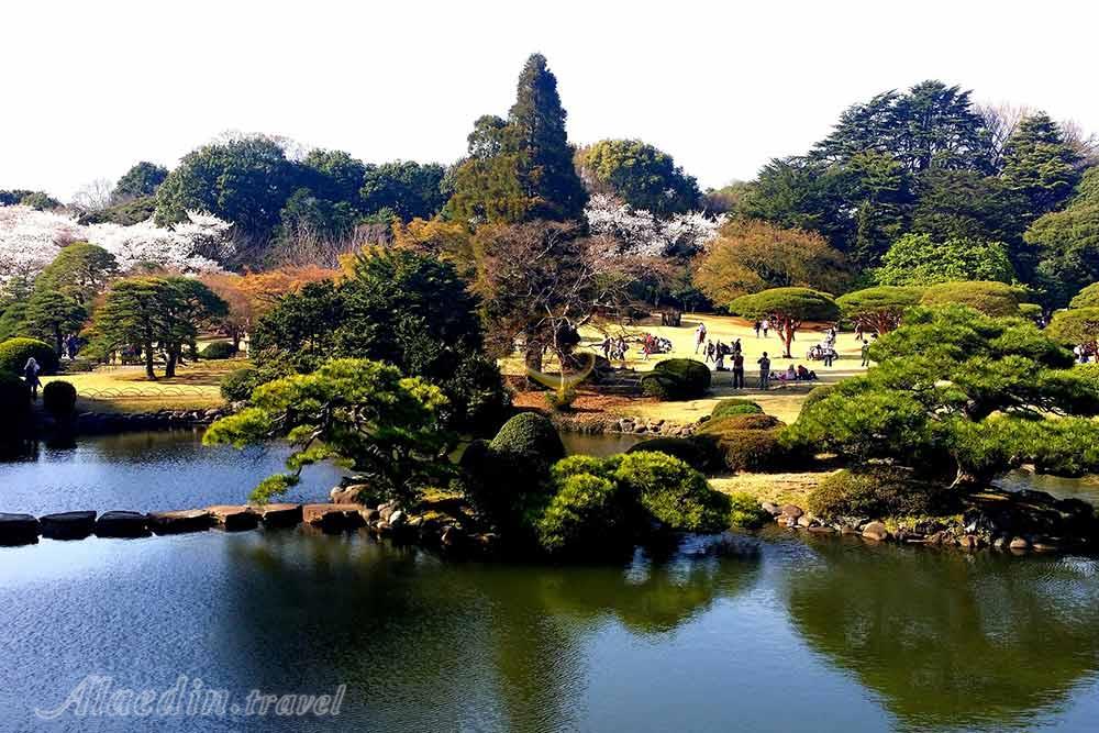 پارک ملی شینجوکو گیوئن توکیو - ژاپن | علاءالدین تراول