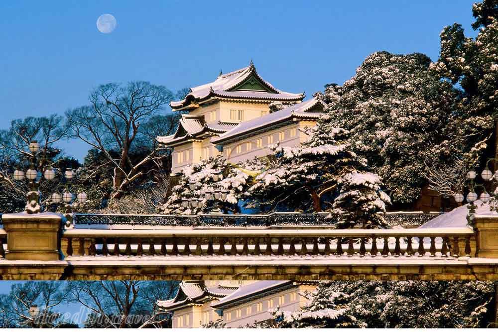 کاخ امپراطوری توکیو - ژاپن | علاءالدین تراول