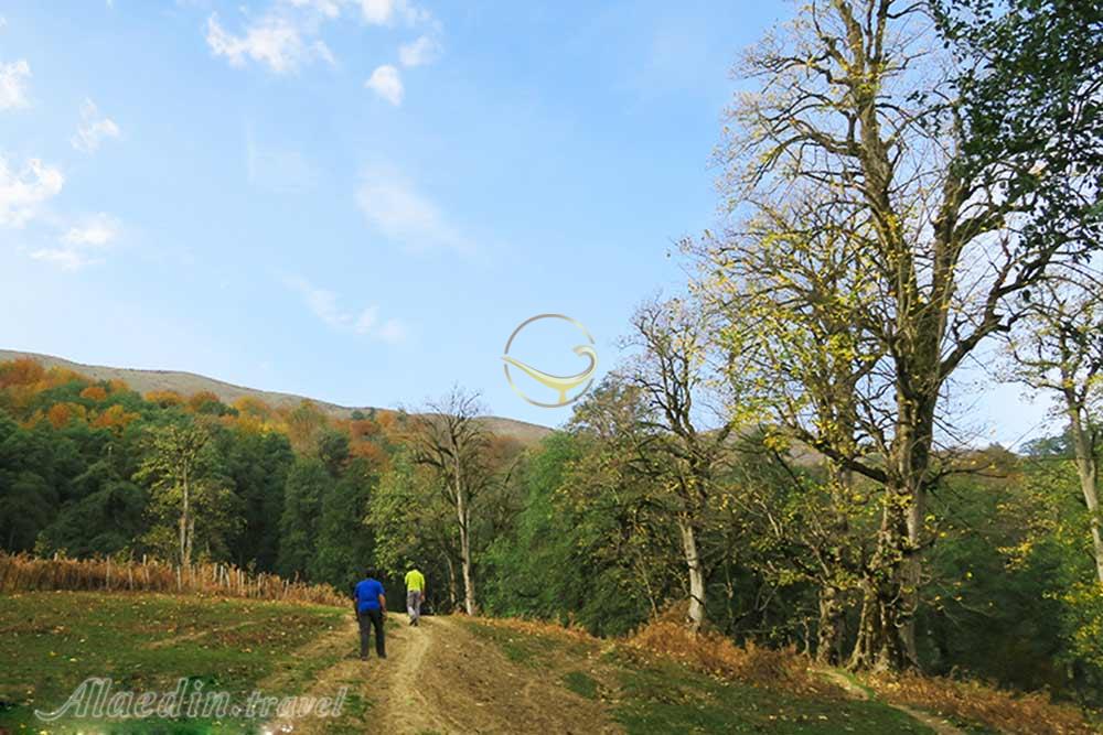 ییلاق آغوزحال تنکابن | علاءالدین تراول